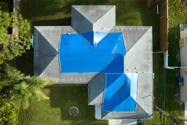 Best Metal Roofing Installation  in Wilson Conococheague, MD